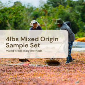 Mix Origin Sample Set 4lbs
