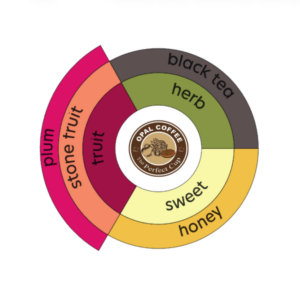 Colombia Jose German Cabrera Narino Castillo Washed