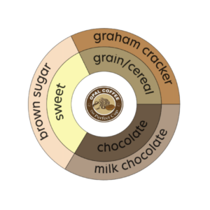 Honduras SHB EP San Marcos
