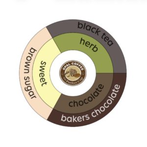 Colombia Cauca EP Washed
