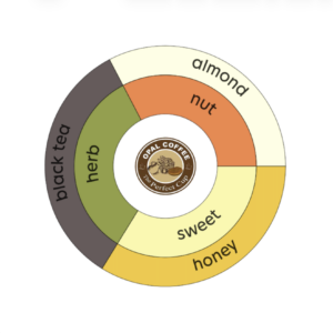 Guatemala Huehuetenango Highlands Collection Washed